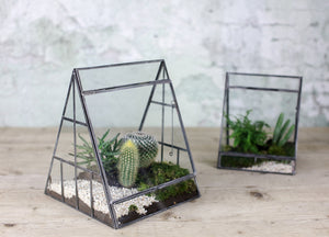 Pyramid Terrarium (large) - MAULE & MAULE