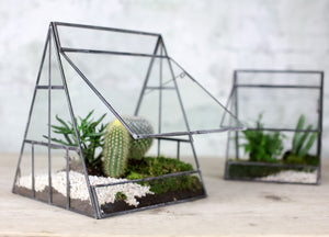 Pyramid Terrarium (large) - MAULE & MAULE