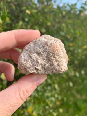 Pink Amethyst Geode - MAULE & MAULE