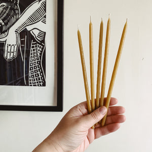 Beeswax Thin Taper Candles (bundle of 5) - MAULE & MAULE