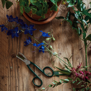 Garden Pruning Scissors - MAULE & MAULE