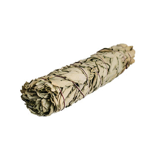 White Sage Smudge - MAULE & MAULE